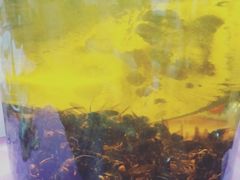 -邹记·美食(斗门店)