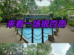 -苏州河梦清园环保主题公园