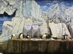 -成都浩海立方海洋公园