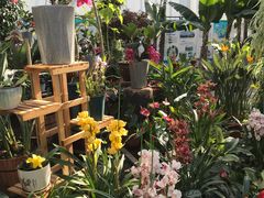 -国家植物园南园