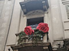 -布兰兔的植物庄园(杭州南宋御街店)