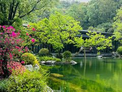 -云溪植物园