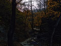 -玉渡山自然风景区