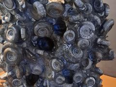 -辽宁古生物博物馆