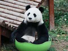-盐城大丰港动物园