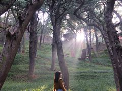 -七曲山风景区