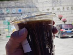 -苍山感通索道