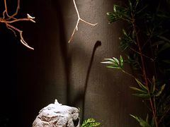 -文三酒肆自助放题(新街口友谊广场店)