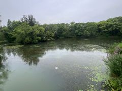 -昆山城市生态森林公园