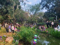 -人民公园(罗湖区)