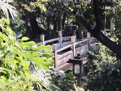 -广州兰圃