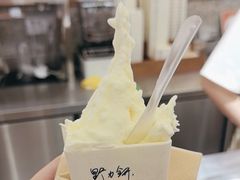 -野人先生Gelato(上海长宁龙之梦店)