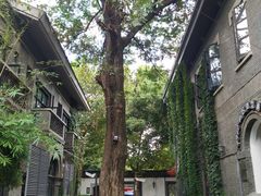 -南京中国近代史遗址博物馆(南京总统府)