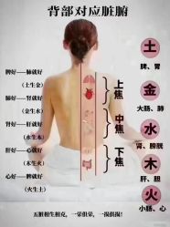 -香薇妮丝·定制减肥·身材管理