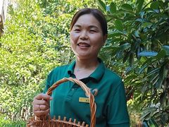 -观唐（国际）度假村温泉