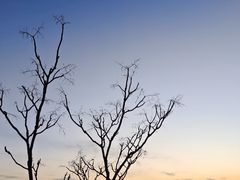 -青岛崂山太清宫