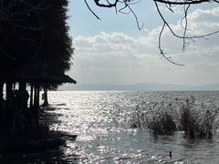-捞渔河湿地公园