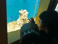 -北戴河圣蓝海洋公园