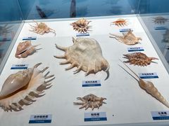 -陕西自然博物馆