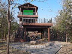 -天津东丽湖风景区