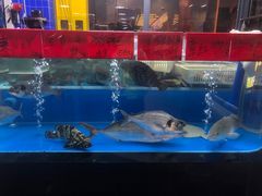 -明本湛江鸡•海鲜小厨(陈家祠店)
