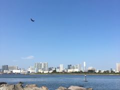 -台场海滨公园船码头
