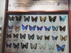 -吉林省自然博物馆