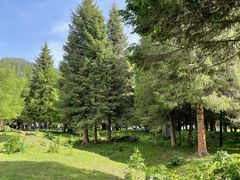 -新疆那拉提国家旅游度假区