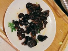 -蝎王府羊蝎子(北大地店)