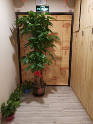 -紫御天香中医养生馆