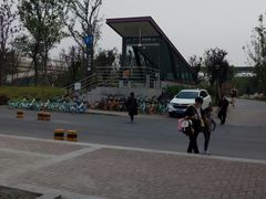 -神仙树公园