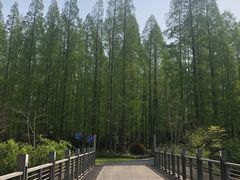 -上海怡沁园度假酒店