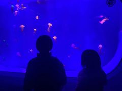 -海合安武汉极地海洋公园