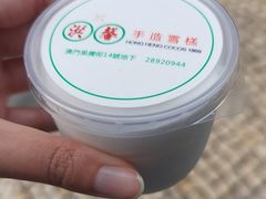 -洪馨椰子
