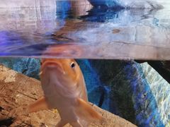 -沈阳海洋探索中心