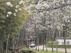 -黄公望隐居地