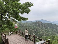 -大岭沟猕猴桃谷风景区