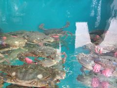 -四海蒸鲜蒸汽海鲜自助(北戴河店)