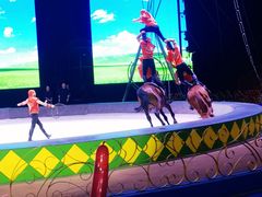 -蓬莱欧乐堡梦幻世界