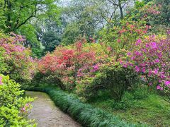 -杭州植物园