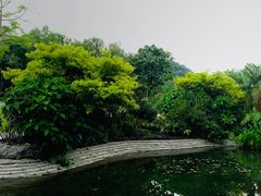 -云溪植物园