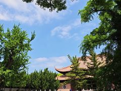 -苏州文庙(姑苏区)