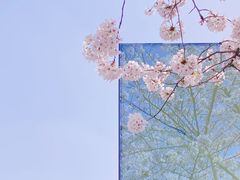 -龙美术馆(西岸馆)