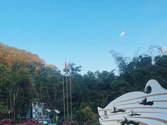 -西双版纳原始森林公园