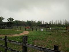 -田园东方蜜桃村的田野营地