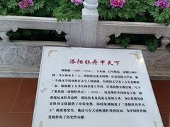 -神州牡丹园