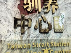 -广东惠东海龟国家级自然保护区