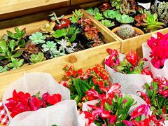 -盒马鲜生(十里堡店)