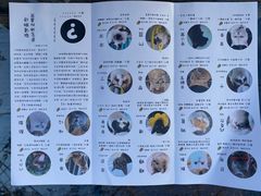 -喵屿·大理花园猫咖