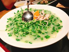 鸽汤万年青-大鸽饭(北京路店)
